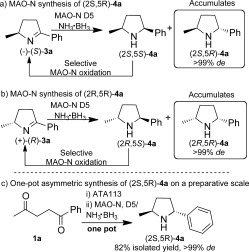 Scheme 3