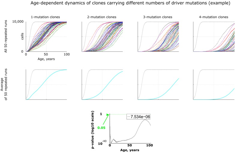 Figure 2—figure supplement 1.