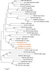 Fig 4