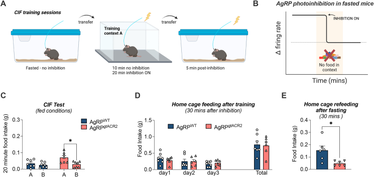 Figure 7