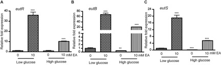 FIG 2 