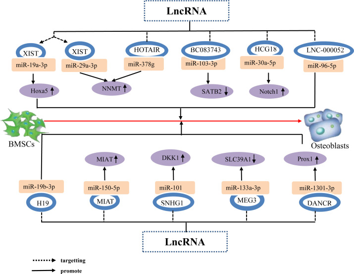 Figure 6