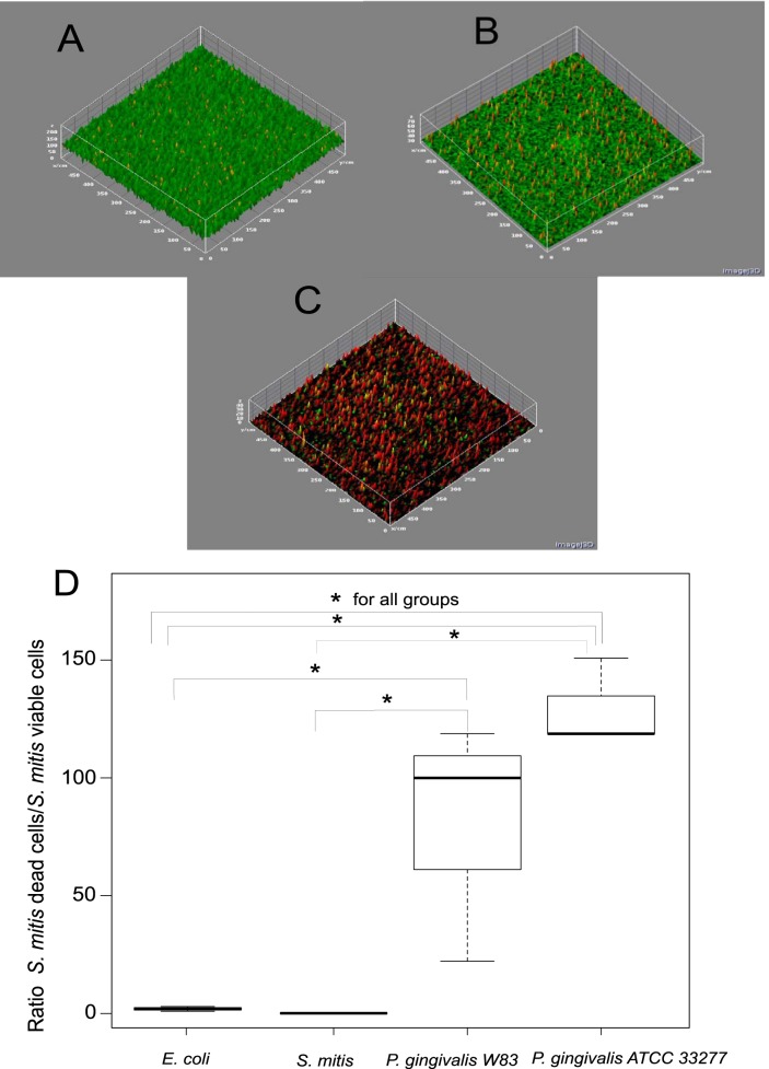 FIG 2