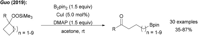 Scheme 25