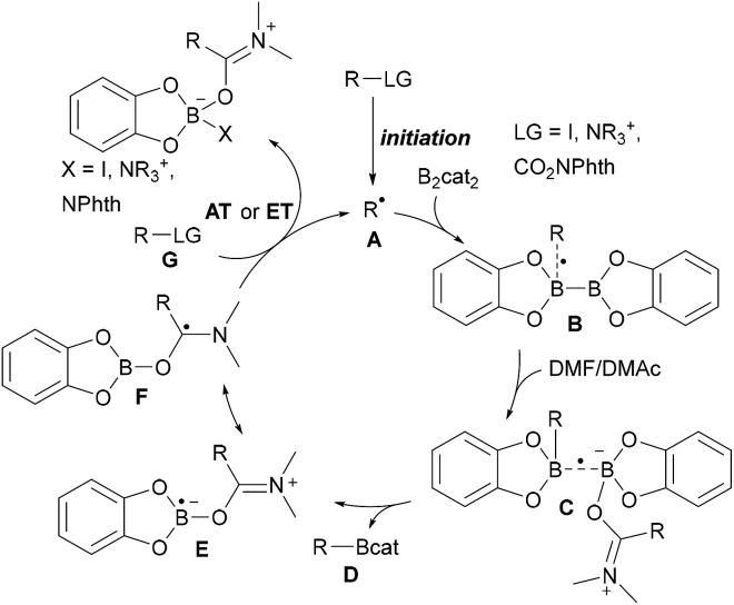 Scheme 14