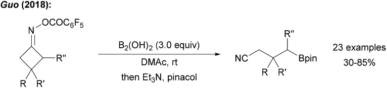 Scheme 20