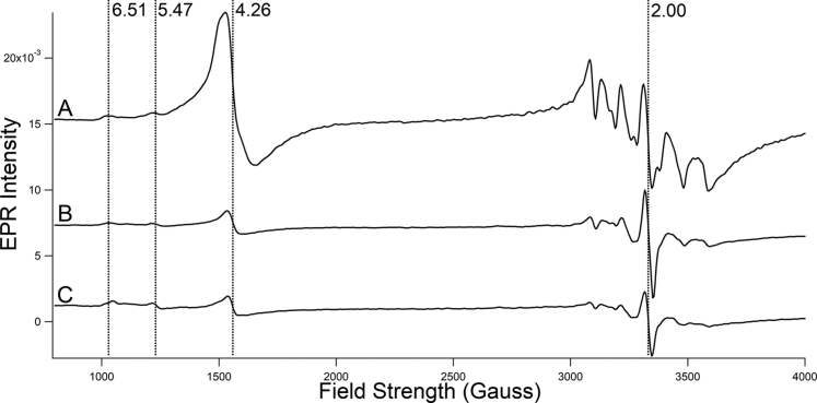 Figure 2