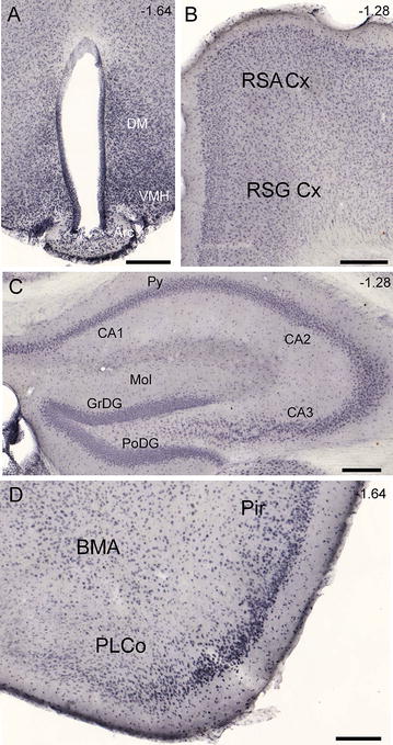 Fig. 3