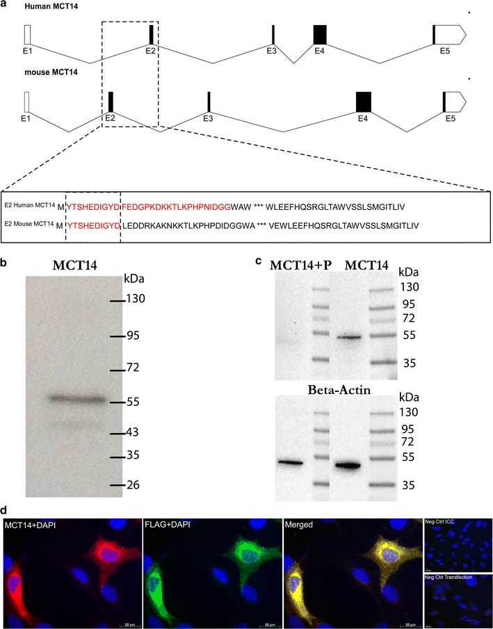 Fig. 7