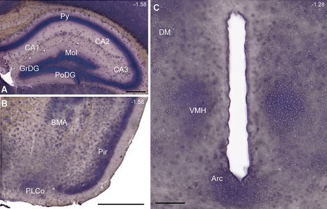 Fig. 2