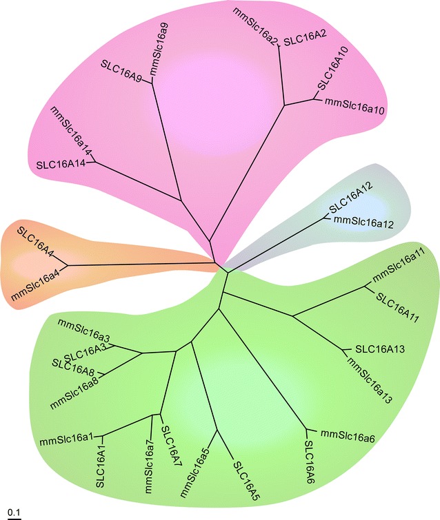 Fig. 1