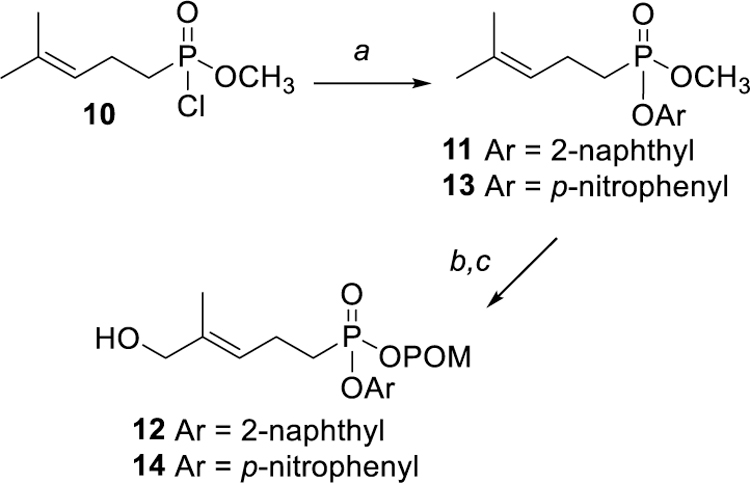 Scheme 2.