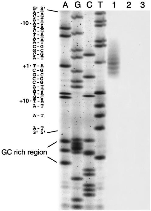 FIG. 6.