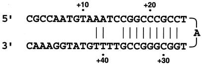 FIG. 5.