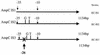 FIG. 7.