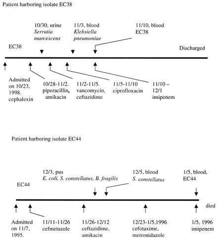 FIG. 1.