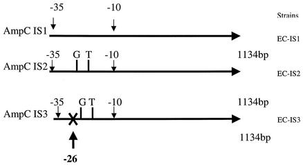 FIG. 7.