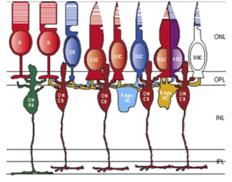 Fig. 10