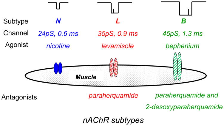 Fig. 3