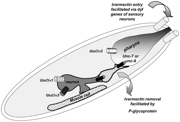 Fig. 5