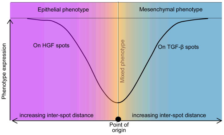 Fig 7