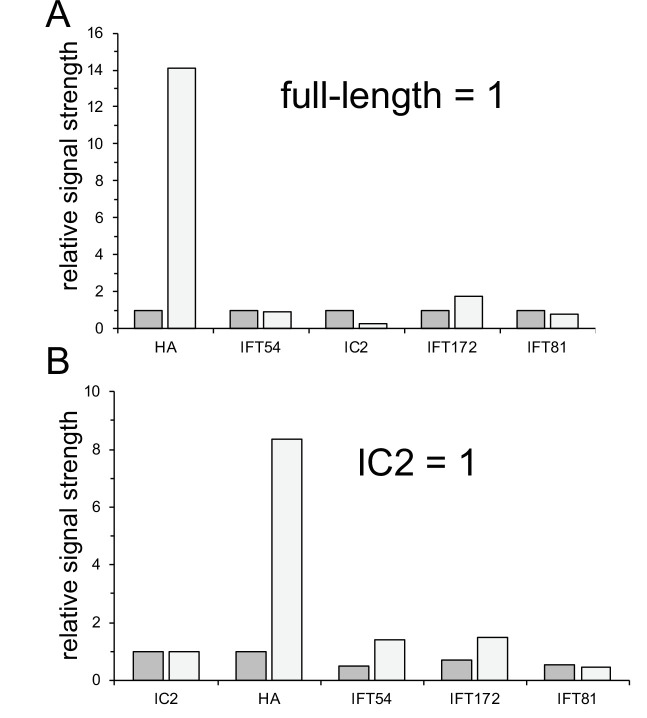 Figure 2—figure supplement 2.