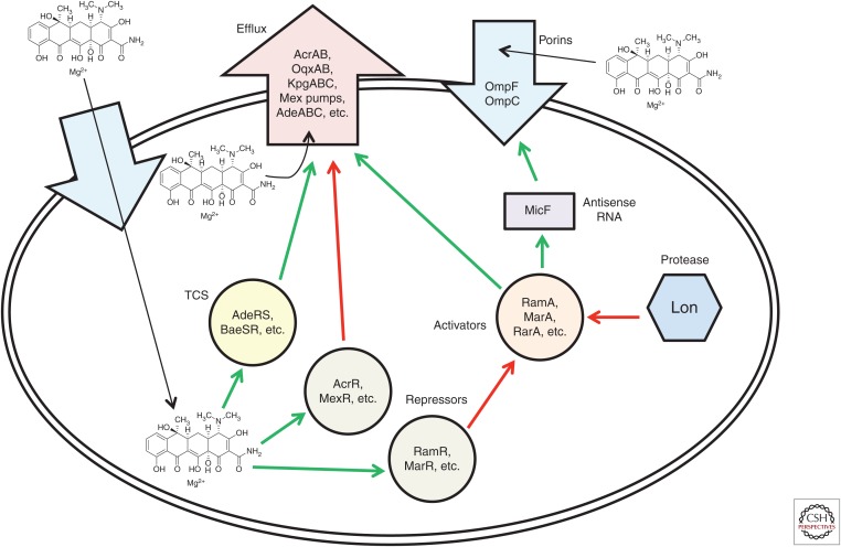 Figure 3.