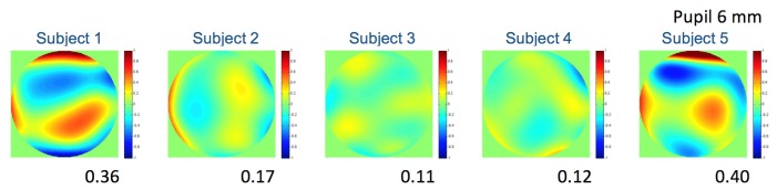 Fig. 7