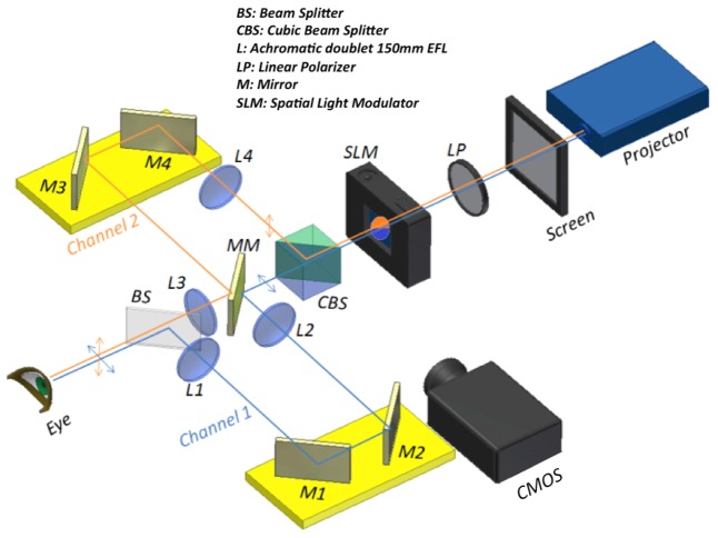 Fig. 1