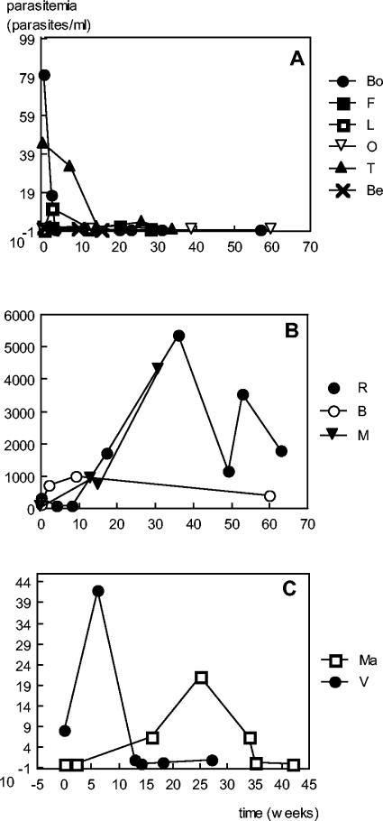 FIG. 6.