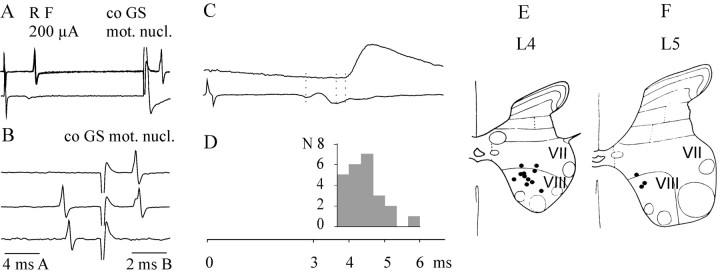 Fig. 8.