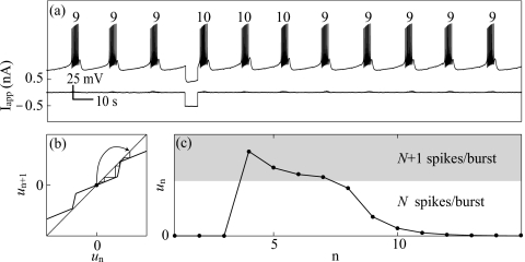 Figure 8