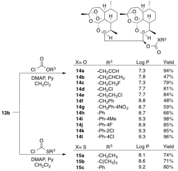 Scheme 2