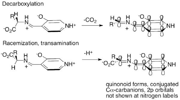 Scheme 5