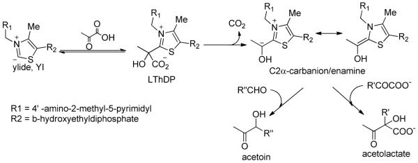 Scheme 3