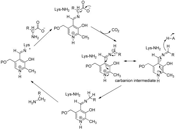 Scheme 4