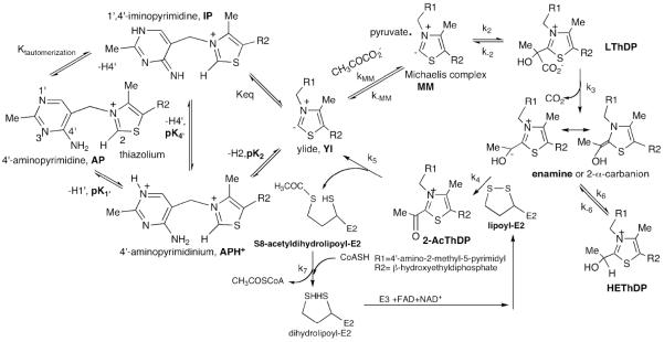 Scheme 2