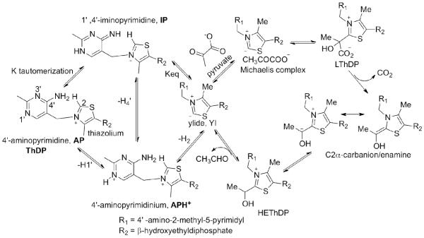 Scheme 1