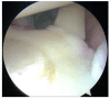 Fig. (8)