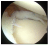 Fig. (7)