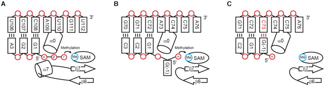 Figure 6.