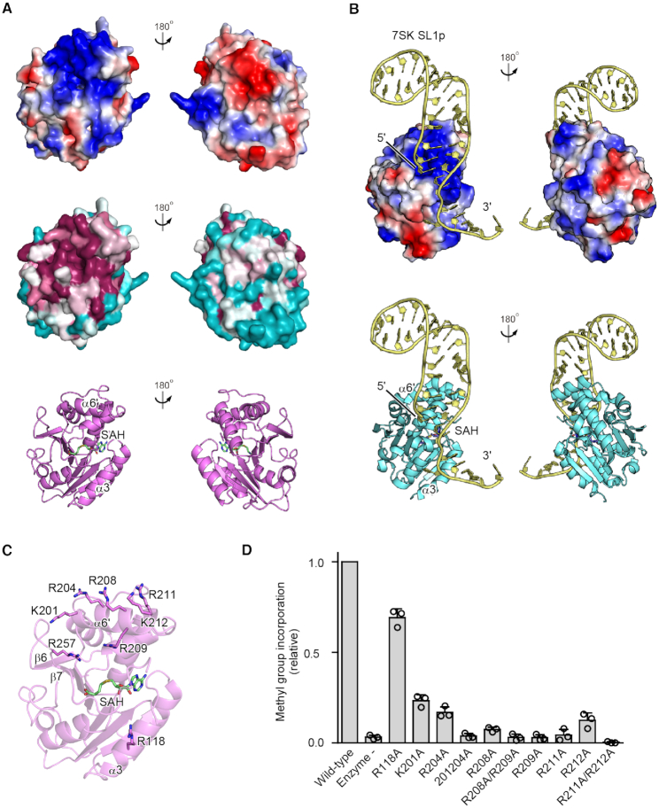 Figure 3.