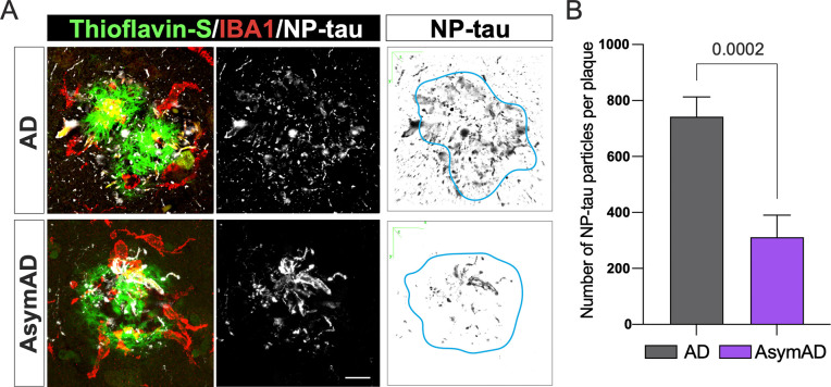 Figure 3: