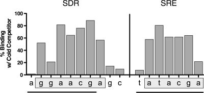 Fig. 9.