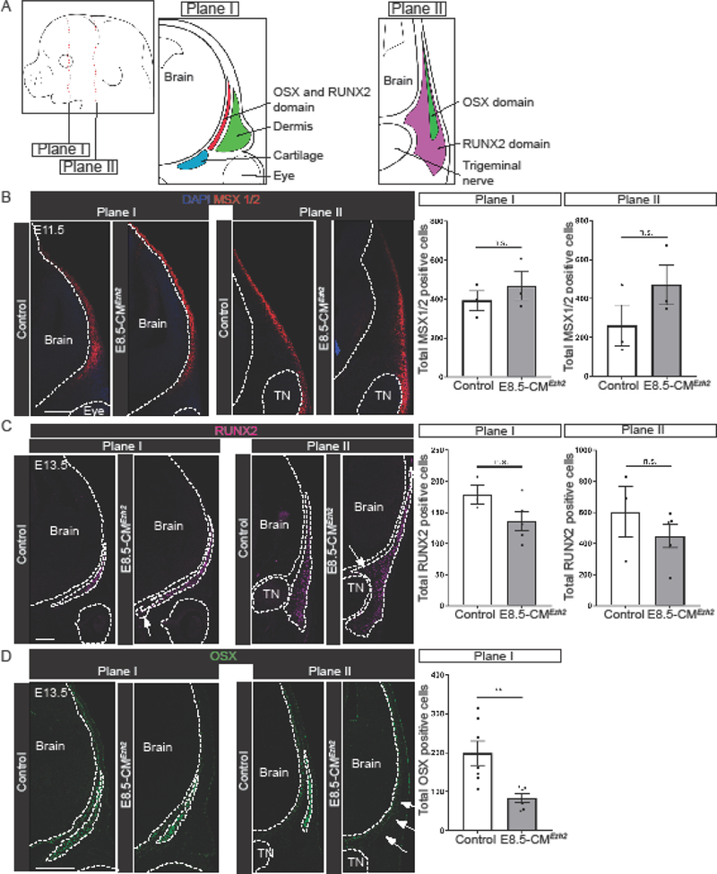 Figure 3: