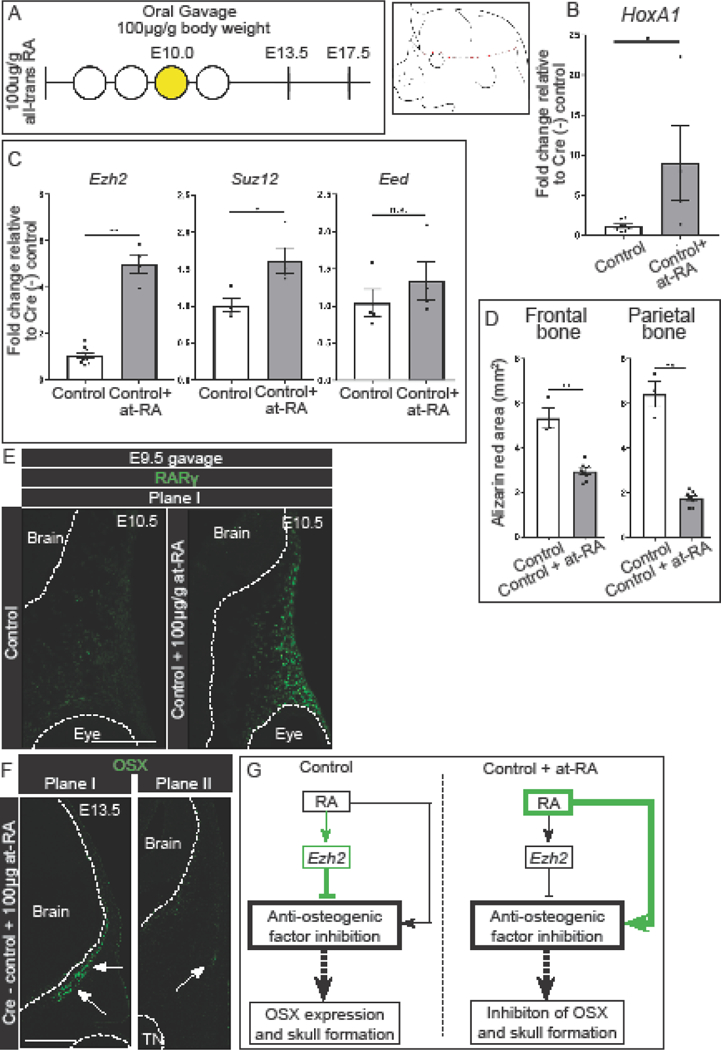 Figure 4: