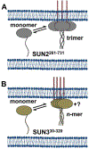 Fig. 9.