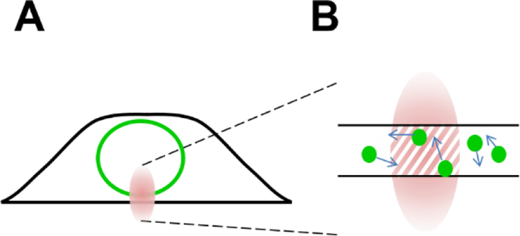 Fig. 3.