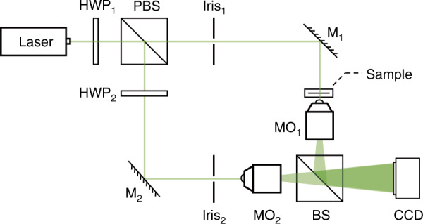 Fig. 7