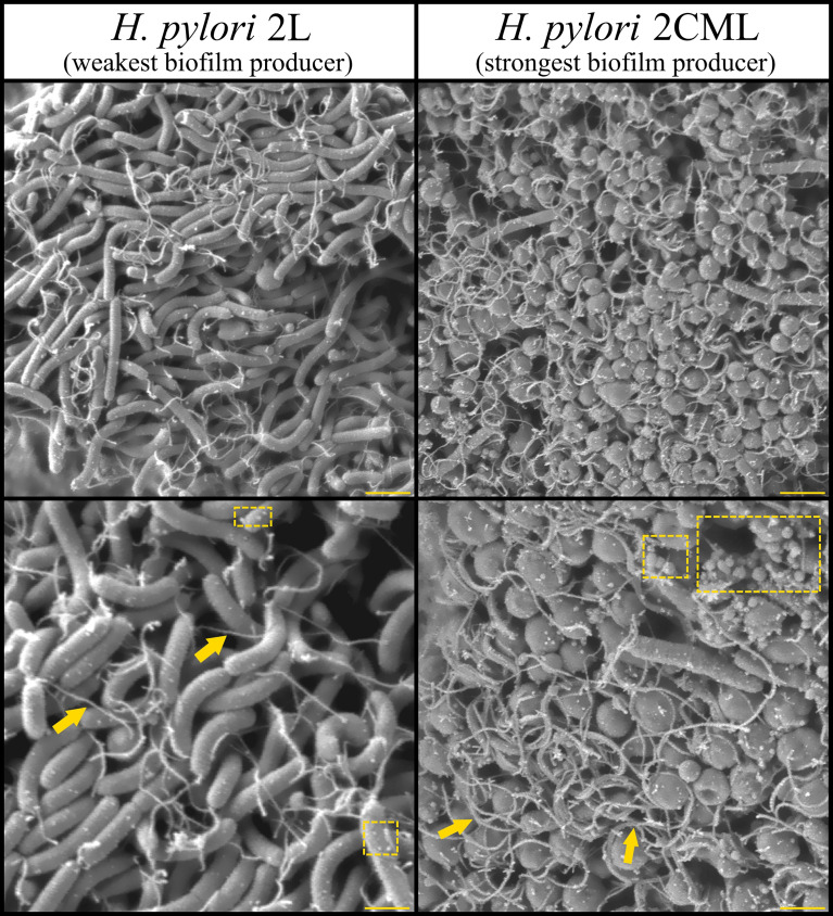 Figure 7